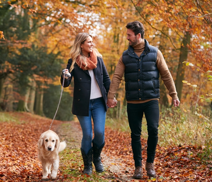 Need a little BOOST ®?