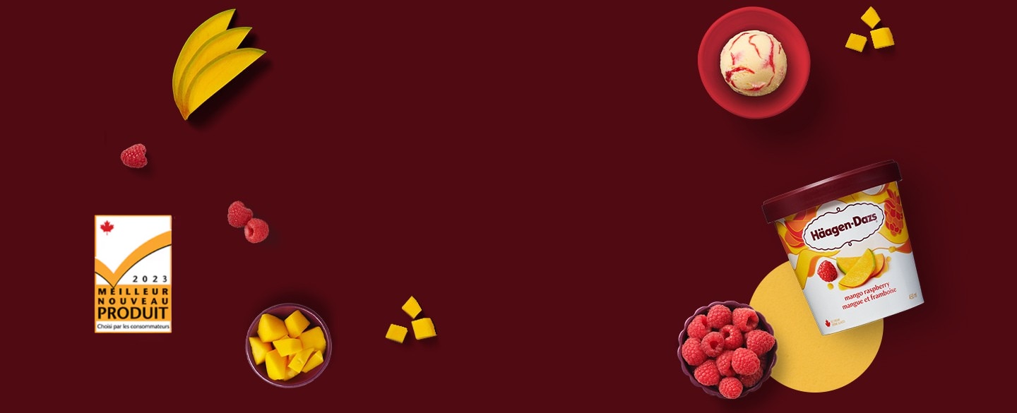 CLASSIQUES : CONTENANTS ET BARRES