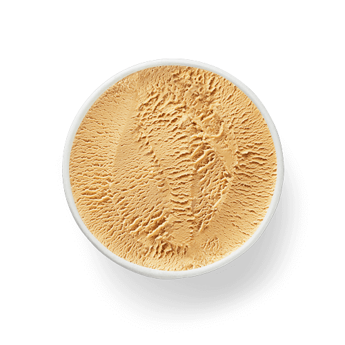 HAAGEN-DAZS Crème glacée Café