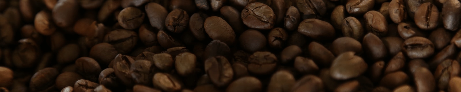 Comprendre le café