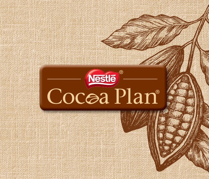 Découvrez-en plus sur notre Plan Cacao Nestlé ​