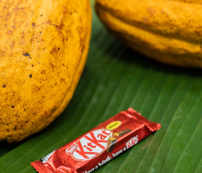 2016 : KITKAT ouvre la voie.