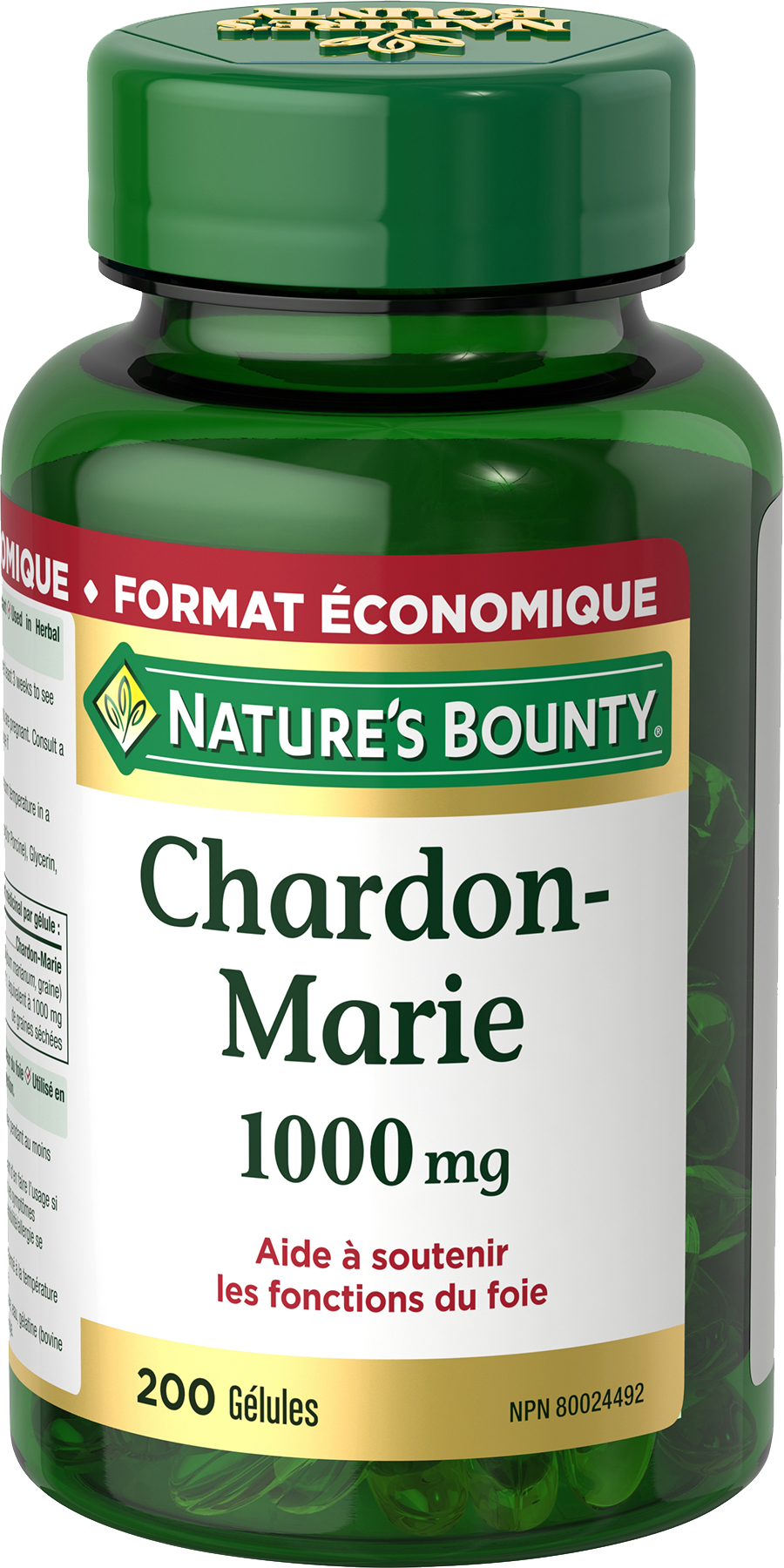 Chardon-Marie 