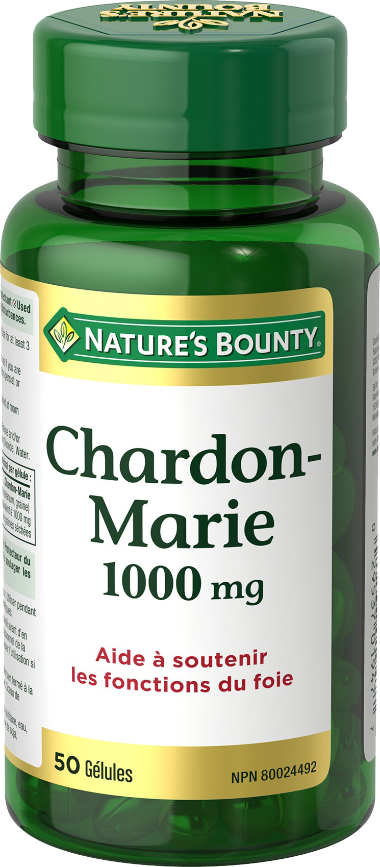 Chardon-Marie