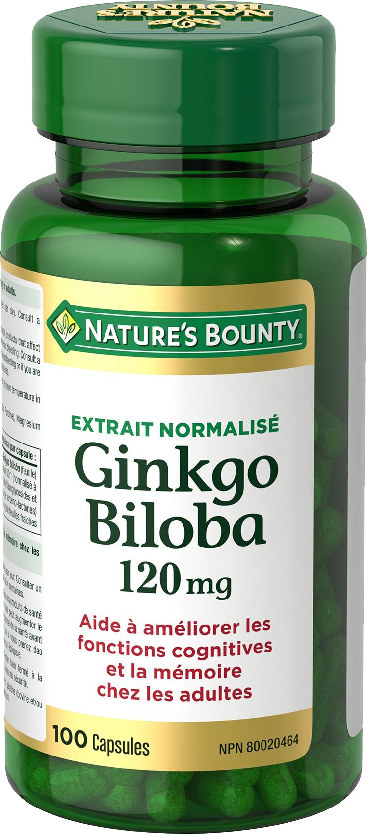 Ginkgo Biloba