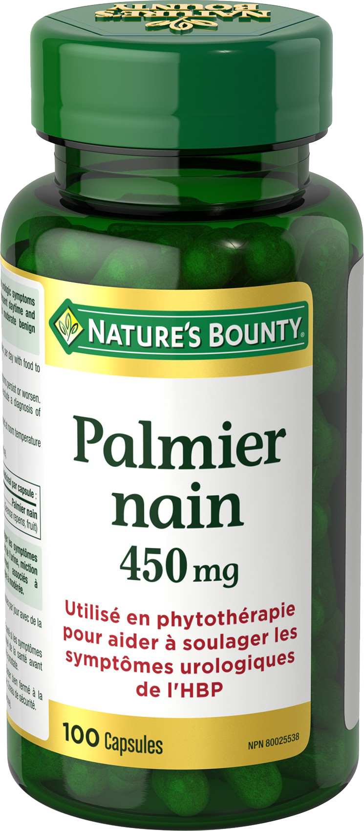 Palmier Nain