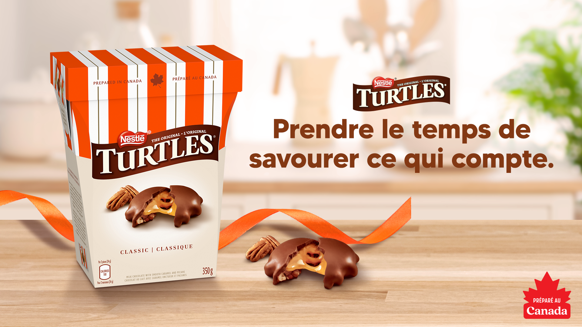 Turtles 