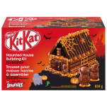 Haunted House Halloween Kit