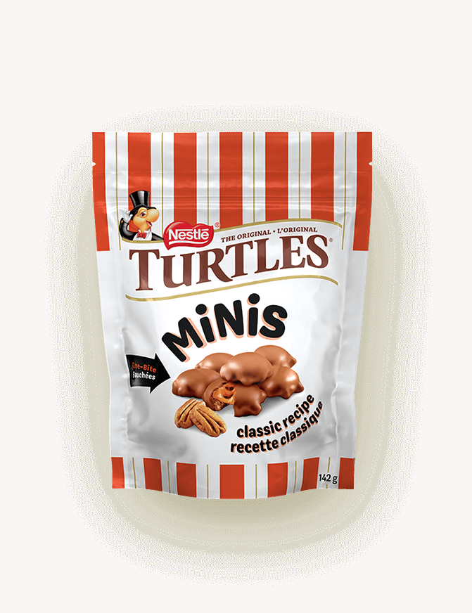 Turtles Minis
