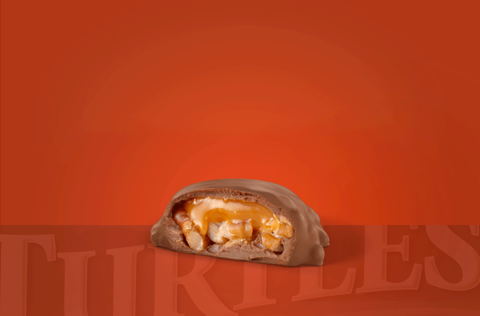 turtles mini